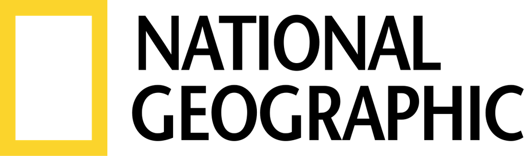 Passa alla homepage